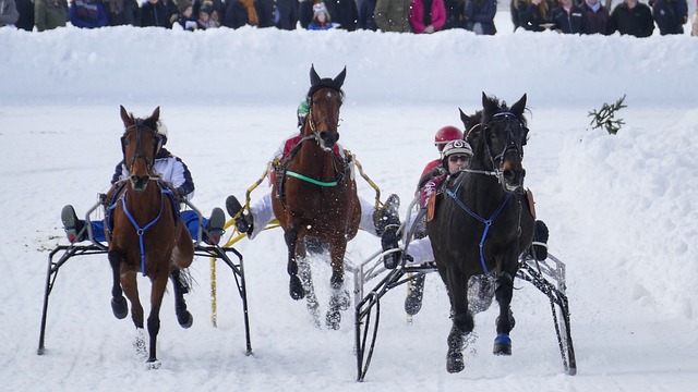 逐步上涨 逐步上涨