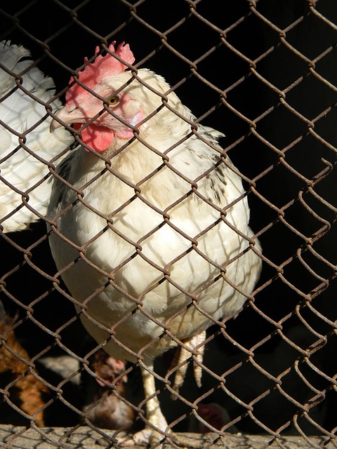 练与球员互 练与球员互