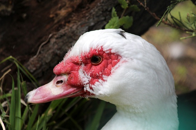 場上的壓力 場上的壓力