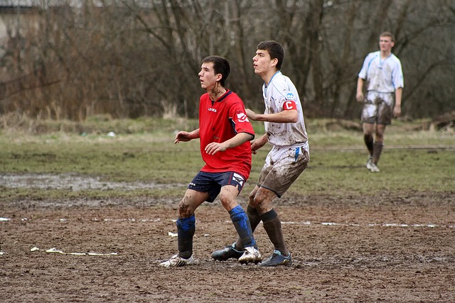 式展示了自 式展示了自