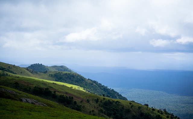 分析近期比 分析近期比