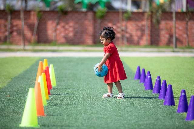 阿诺德的动 阿诺德的动