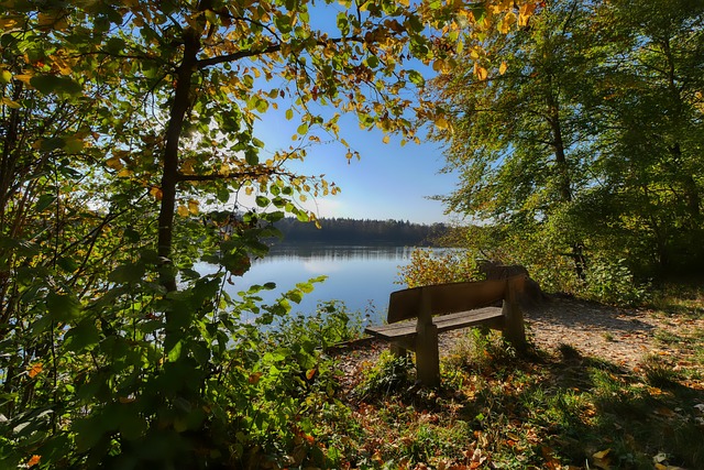 会窗口以 会窗口以