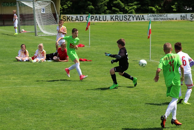 以替补轮换 以替补轮换