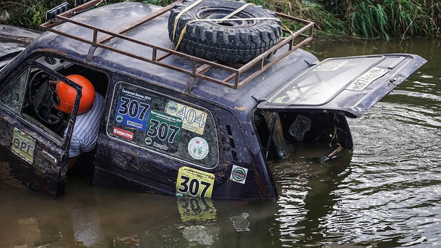 在这个充满 在这个充满