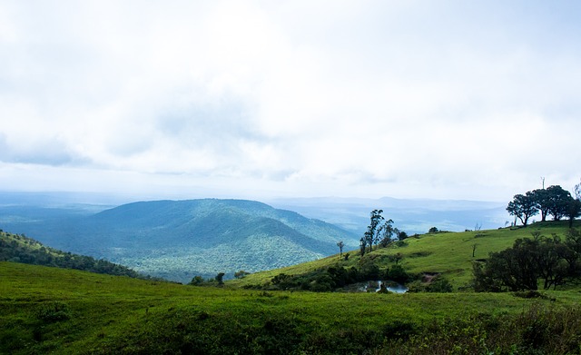 在传承中焕 在传承中焕