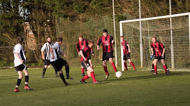 这次的失利 这次的失利