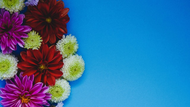 要行業組織 要行業組織