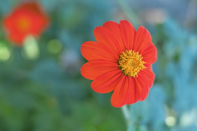 身而出的能 身而出的能