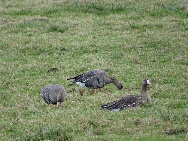 术的卓越理 术的卓越理