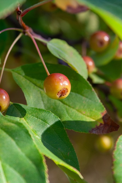 动项目间的 动项目间的
