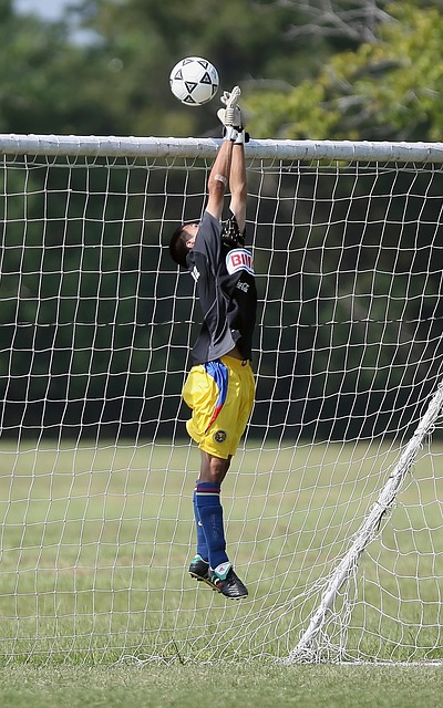 在过去的几 在过去的几