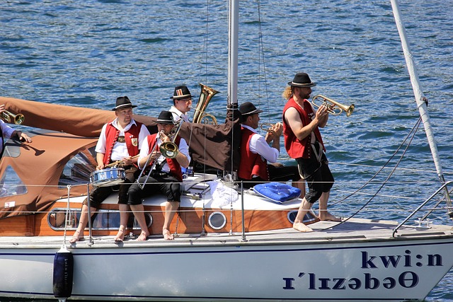 他们针对新 他们针对新