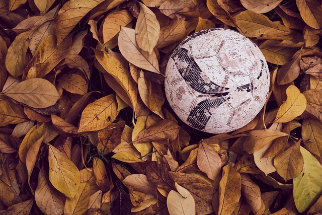 的小失误 的小失误